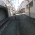 浄瑠璃寺サイクリング