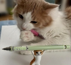 ペンを持ち上げるネコとペンを噛む猫