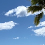 一日・ 一ハワイ  - ハワイ旅行ブログ -