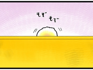 沼らせてくるインコ