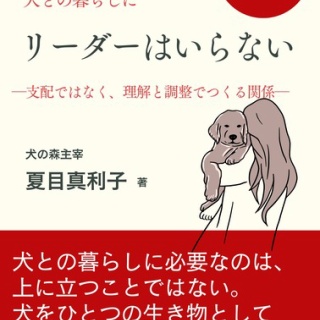 犬の森　