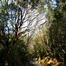 11/23　足摺岬 ３