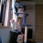 広島BayStyle（スミちゃんの釣り日記）