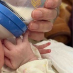 ありふれた毎日