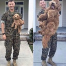 外国人「急成長してしまった子犬のビフォー＆アフターを見せていくｗｗｗｗ」