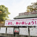 明日10/19(月)から日本モンキーセンターが長期休園に。再開は3～4年後