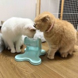 『2026年1月1日、最高のお年玉をもらいました』の画像