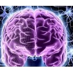 DARPA「脳とコンピューターを直結する研究に6500万ドルを出す」