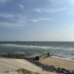 wind& tatami