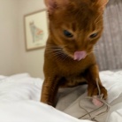 荒ぶるお姉ちゃんを呆然と見るわか坊