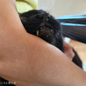 反応無し