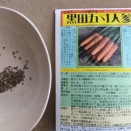 にんじん🥕　2026秋