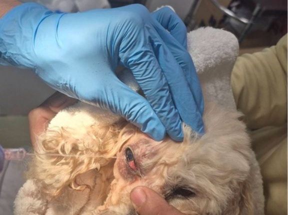 今夜もクリニックでは、、、💦