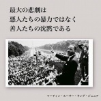 晴 天 と ら 日 和