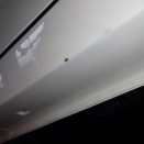 猿も木から落ちる 私は足元をすくわれる