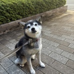 観音裏黄昏備忘録