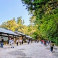 伊勢神宮で、婆の健康を祈る