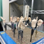 ¥Ç¥³¥Þ¥¹³«»Ï¡£