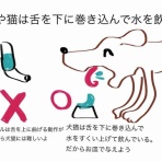 獣医さんとやってみよう自由研究