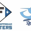明日の日ハム-中日戦の結果予想
