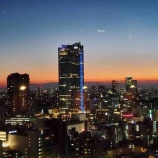 『夜景』の画像