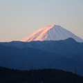 2026.3.1(日)三方分山・パノラマ台絶景ハイキング（山梨県）