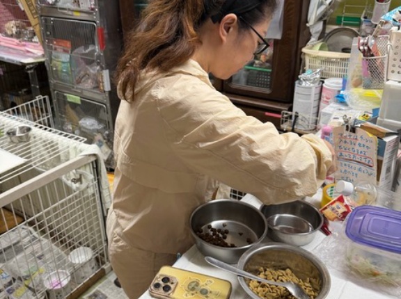 夜の部通信と　甘いとうもろこし🌽🌽🌽