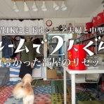 ていない（ていねいじゃない暮らしのブログ）