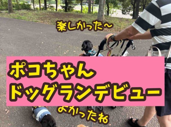 ポコちゃん、ドッグランに行きました。
