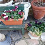 写真のクラ蔵 ライブドア