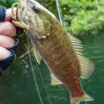 Flyfishing+ from Mt.Pigeons!