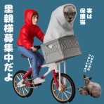 のっぴきならない。