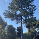 10月1日