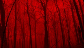 死ぬ程洒落にならない怖い話集めてみない?『呪いを使って助けてくれた祖母』