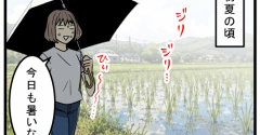 「田んぼに赤いものが…」近づいてみると衝撃の光景