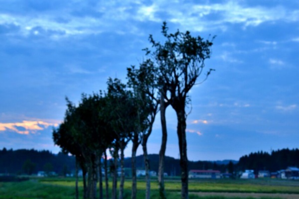 日本の原風景 Amazon.co.jp: 日本の原風景99 : 近藤 正文: 本