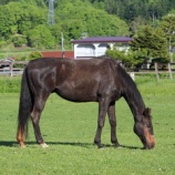 『発作の報告』の画像