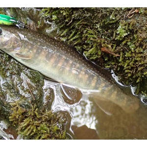 Fe1gzpwfreac6m Fe1gzpwfreac6m