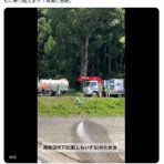 真実の報道神秘