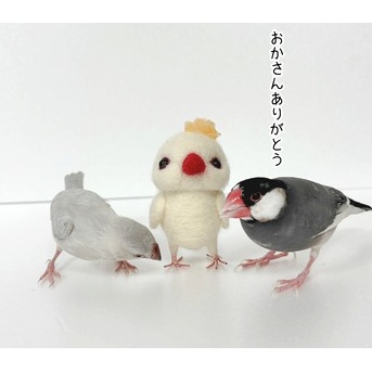 我が家の文鳥たちの伝統芸？