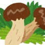 【えぇ…】所有する山のマツタケ泥棒を執念の確保…男「先代から受け継いで60年以上盗んでいた」