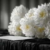 ãæ²å ±ããã¤ã人家æããã«ã³è¦³å
ã§å
¨å¡æ»äº¡ã»ã»ã»ï¼