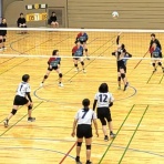 シーガル・バレーボールスクールのblog