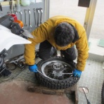 トレックフィールドの「ぎょうれん」