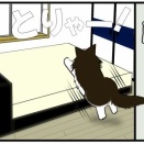 【老猫との暮らし】目が離せない猫