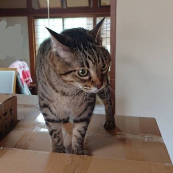 【近況報告】電波の届かない時空から、只今復帰しました。