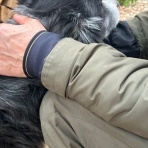 アナベルにかこまれて