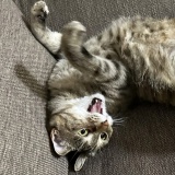 足を伸ばしていたならね