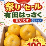 『【祭りセール】はっさくです。大玉で甘いです。売り切れ御免です。』の画像