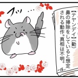 『【わさび辞典】わさびにまつわることを調べよう』の画像